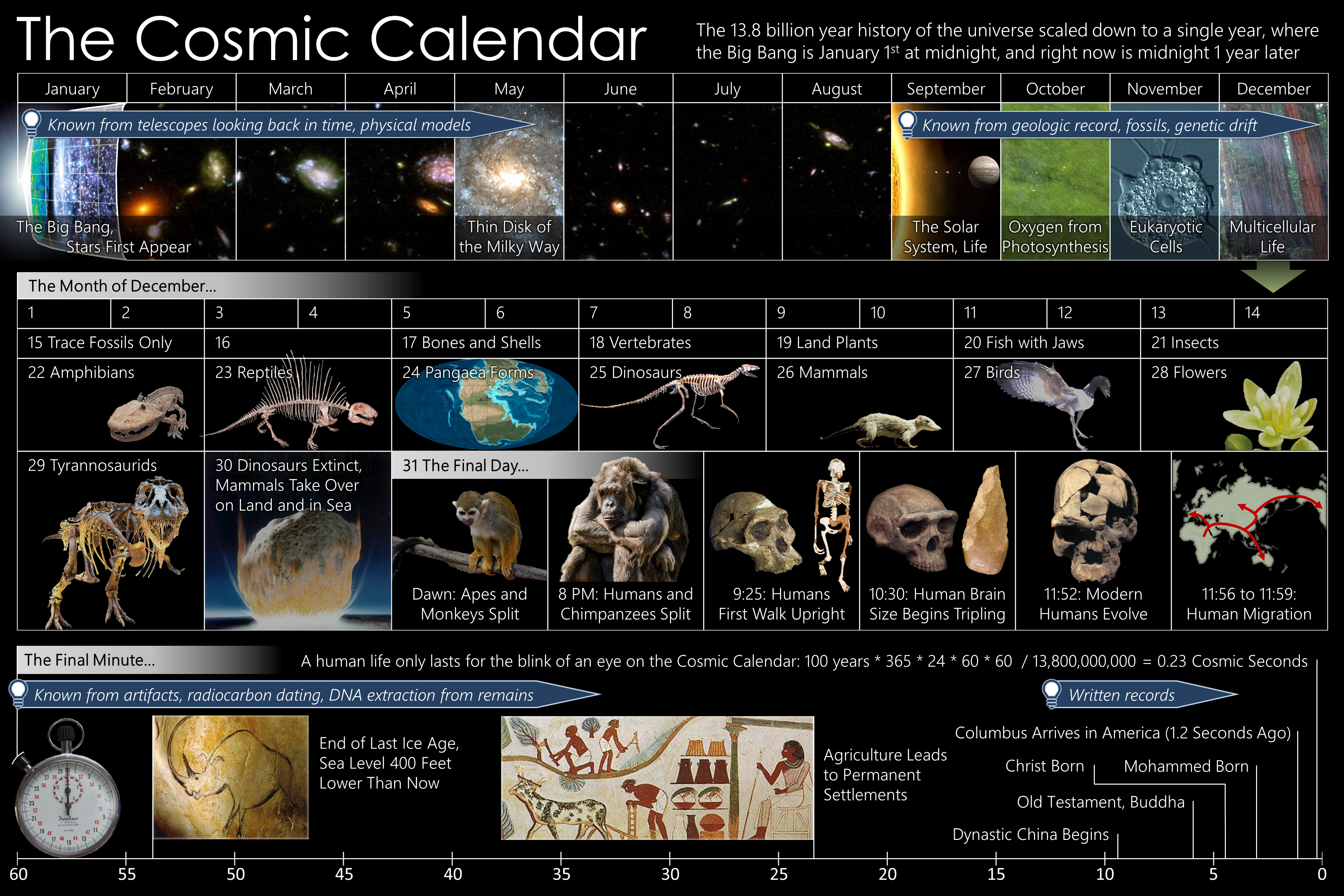 cosmic-calendar
