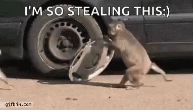 stealing-this